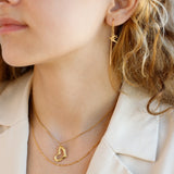 Earrings Swallows